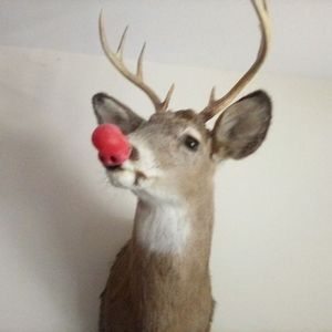 Meet your Posher, George